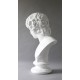 Antinous 26in. (From Stefano) - Fiberglass - Outdoor Statue -  - TDS429