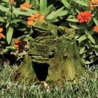 Toad House 7in. - Fiberglass Resin - Indoor/Outdoor Statue/Sculpture Toad House 7in. - Fiberglass Resin - Indoor/Outdoor Statue/Sculpture