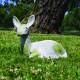 Sitting Deer Fawn Fiber Stone Resin Indoor/Outdoor Statue/Sculpture -  - FS8682