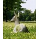 Sitting Deer Fawn Fiber Stone Resin Indoor/Outdoor Statue/Sculpture -  - FS8682