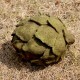 Giant Artichoke - Fiber Stone Resin - Indoor/Outdoor Statue/Sculpture -  - FS8669