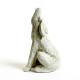 Coyote Fiberglass Indoor/Outdoor Garden -  - F8863