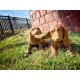 Two Playful Hounds Fiber Stone Resin Indoor/Outdoor Statue/Sculpture -  - FS8893