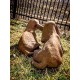Two Playful Hounds Fiber Stone Resin Indoor/Outdoor Statue/Sculpture -  - FS8893