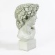 David Bust Medium 17 Inch Fiberglass - Indoor/Outdoor Statue -  - F1101