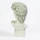 David Bust Medium 17 Inch Fiberglass - Indoor/Outdoor Statue -  - F1101
