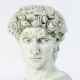 David Bust Medium 17 Inch Fiberglass - Indoor/Outdoor Statue -  - F1101