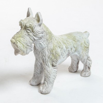 Schnauzer Dog Fiberglass Indoor/Outdoor Garden -  - F9149