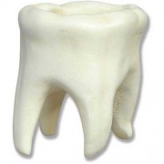 Tooth Large 10 in. Fiberglass Resin Indoor/Outdoor Garden