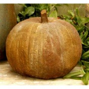 Pumpkin 11 Inch Fiberglass Resin Indoor/Outdoor Statue/Sculpture