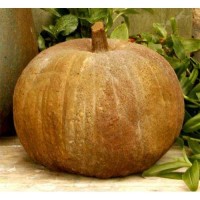 Pumpkin 11 Inch Fiberglass Resin Indoor/Outdoor Statue/Sculpture