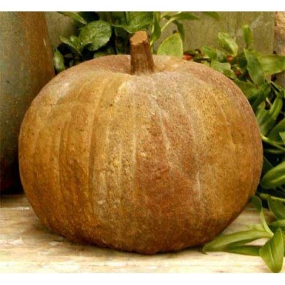 Pumpkin 11 Inch Fiber Stone Resin Indoor/Outdoor Statue/Sculpture -  - FS8118