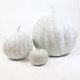 Pumpkin 11 Inch Fiber Stone Resin Indoor/Outdoor Statue/Sculpture -  - FS8118