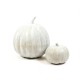 Pumpkin 11 Inch Fiber Stone Resin Indoor/Outdoor Statue/Sculpture -  - FS8118