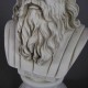 Da Vinci Bust - Large 12in. - Fiberglass - Indoor/Outdoor Statue -  - F7278