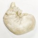 Curled up Shepherd Dog Fiberglass Indoor/Outdoor Garden -  - F8651