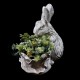 Cabbage Patch Rabbit Fiber Stone Resin Outdoor Garden Statue/Sculpture - - FS10175 Cabbage Patch Rabbit Fiber Stone Resin Outdoor Garden Statue/Sculpture - - FS10175
