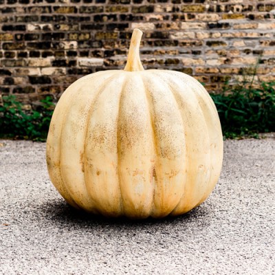 Pumpkin 24in. High Fiber Stone Resin Indoor/Outdoor Statue/Sculpture -  - FS7877