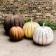 Pumpkin 24in. High Fiber Stone Resin Indoor/Outdoor Statue/Sculpture -  - FS7877