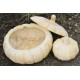 Wide Pumpkin Planter - Fiber Stone Resin - Indoor/Outdoor Statue -  - FS8662