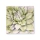 Dahlia Plaque Fiber Stone Resin Indoor/Outdoor Garden Statue/Sculpture -  - FS8741