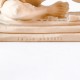 Dying Gaul Fiberglass Indoor/Outdoor Garden -  - SN48210
