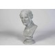 Venus Bust 25in. High  Fiber Stone Resin Indoor/Outdoor Statuary -  - FSDS141