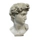 Head Of David From Original 48in. Fiberglass In/Outdoor Statue - - F68976 Head Of David From Original 48in. Fiberglass In/Outdoor Statue - - F68976