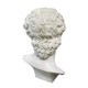 Head Of David From Original 48in. Fiberglass In/Outdoor Statue - - F68976 Head Of David From Original 48in. Fiberglass In/Outdoor Statue - - F68976