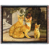 Abyssinian Family Cat - Robert May - Cotton Woven Blanket Throw -  (72x54)