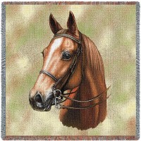 American Saddlebred Horse - Robert May - Lap Square Cotton Woven Blanket Throw -  (54x54)
