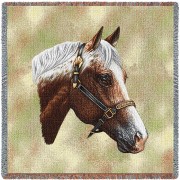 Appaloosa Horse - Robert May - Lap Square Cotton Woven Blanket Throw -  (54x54)
