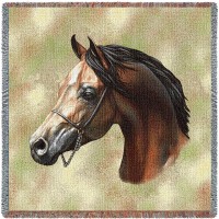 Arabian Horse - Robert May - Lap Square Cotton Woven Blanket Throw -  (54x54)