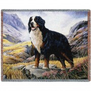 Bernese Mountain - Robert May - Cotton Woven Blanket Throw -  (72x54)