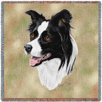 Border Collie - Robert May - Lap Square Cotton Woven Blanket Throw -  (54x54)