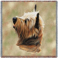 Cairn Terrier - Robert May - Lap Square Cotton Woven Blanket Throw -  (54x54)