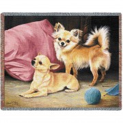 Chihuahua - Robert May - Cotton Woven Blanket Throw -  (72x54)
