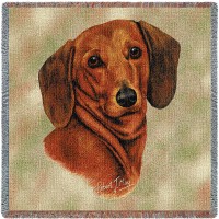 Dachshund Red - Robert May - Lap Square Cotton Woven Blanket Throw -  (54x54)