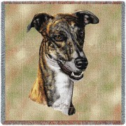Greyhound - Robert May - Lap Square Cotton Woven Blanket Throw -  (54x54)