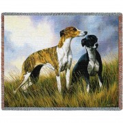 Greyhound - Robert May - Cotton Woven Blanket Throw -  (72x54)