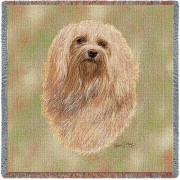 Havanese - Robert May - Lap Square Cotton Woven Blanket Throw -  (54x54)