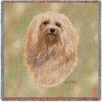 Havanese - Robert May - Lap Square Cotton Woven Blanket Throw -  (54x54)