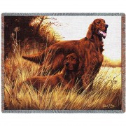 Irish Setter - Robert May - Cotton Woven Blanket Throw -  (72x54)