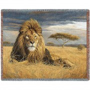 King Of The Pride - Lucie Bilodeau - Cotton Woven Blanket Throw -  (72x54)