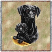 Labrador Retriever with Puppy Black Lab - Robert May - Lap Square Cotton Woven Blanket Throw -  (54x54)