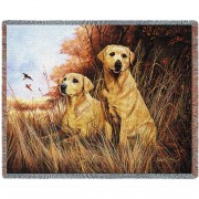 Labrador Retrievers Yellow Lab - Robert May - Cotton Woven Blanket Throw -  (72x54)