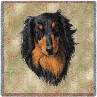 Long Haired Dachshund Black and Tan - Robert May - Lap Square Cotton Woven Blanket Throw -  (54x54)