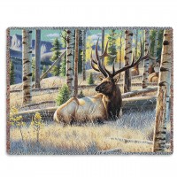 Morning View Elk - Cynthie Fisher - Cotton Woven Blanket Throw -  (72x54)