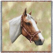 Pinto Horse - Robert May - Lap Square Cotton Woven Blanket Throw -  (54x54)