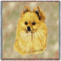 Pomeranian - Robert May - Lap Square Cotton Woven Blanket Throw -  (54x54)